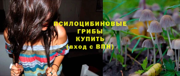 гидропоника Баксан